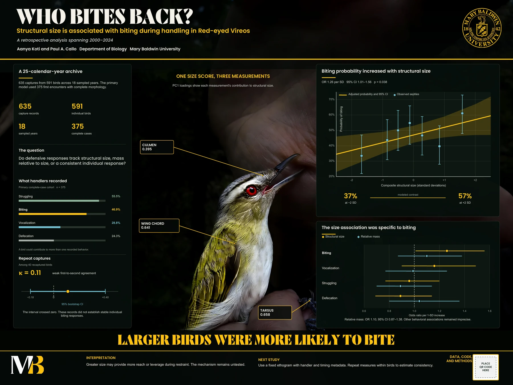 Who Bites Back? artifact